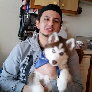 Meet your Posher, Luis